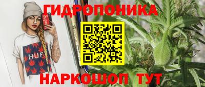 винт Сланцы