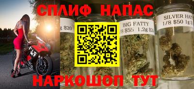 винт Сланцы