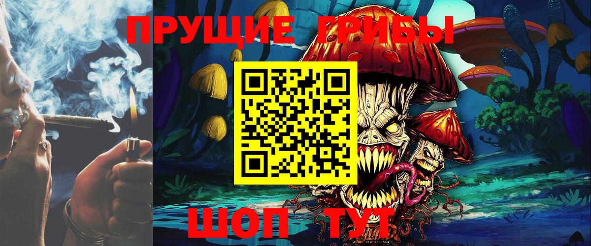 Псилоцибиновые грибы GOLDEN TEACHER Свободный