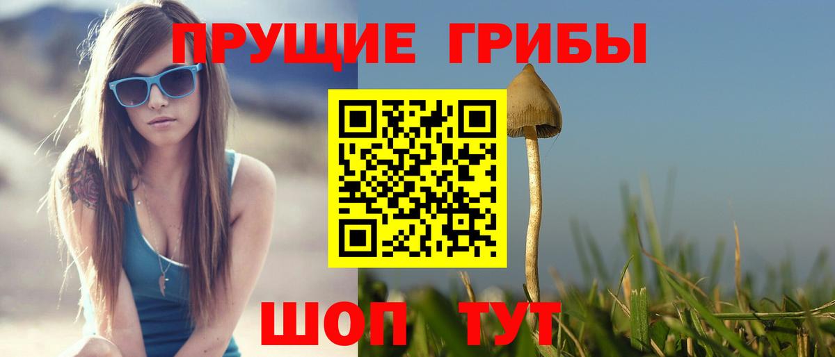 дарнет шоп  Псилоцибиновые грибы Magic Shrooms  Вход с VPN  Свободный  Псилоцибиновые грибы MAGIC MUSHROOMS 